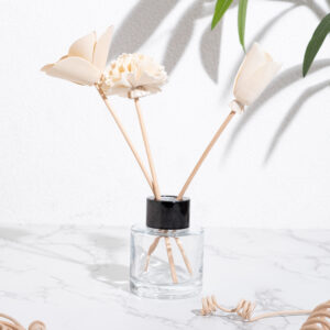 reed diffuser stick