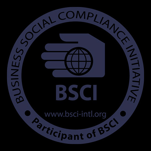Logotipo de la BSCI